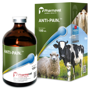 ANTI-PAIN